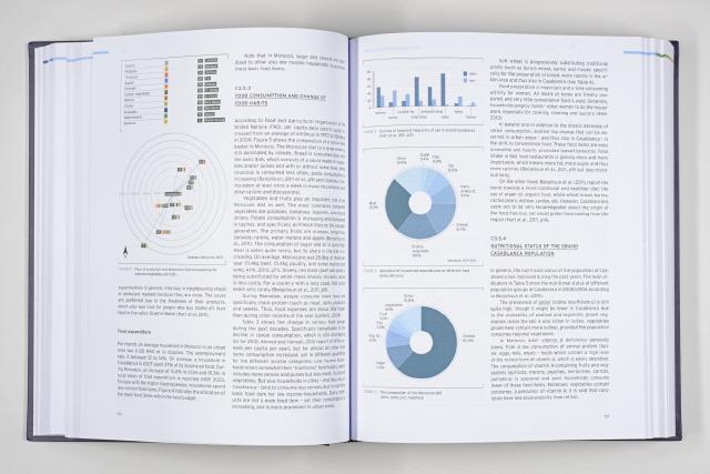 Infografik-Design Kreisdiagramme Buchseite